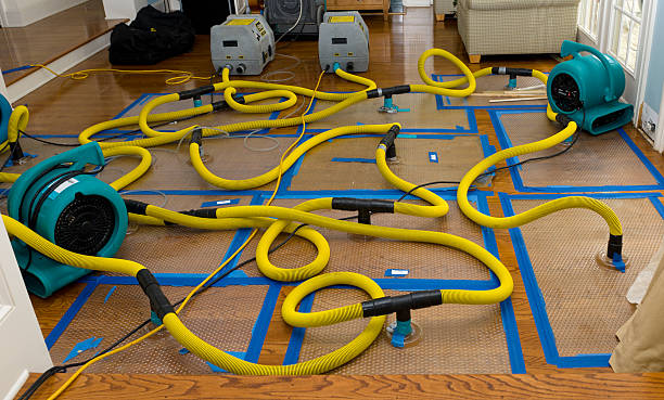 Professional Burst Pipe Water Damage technician working in White Bluff, TN